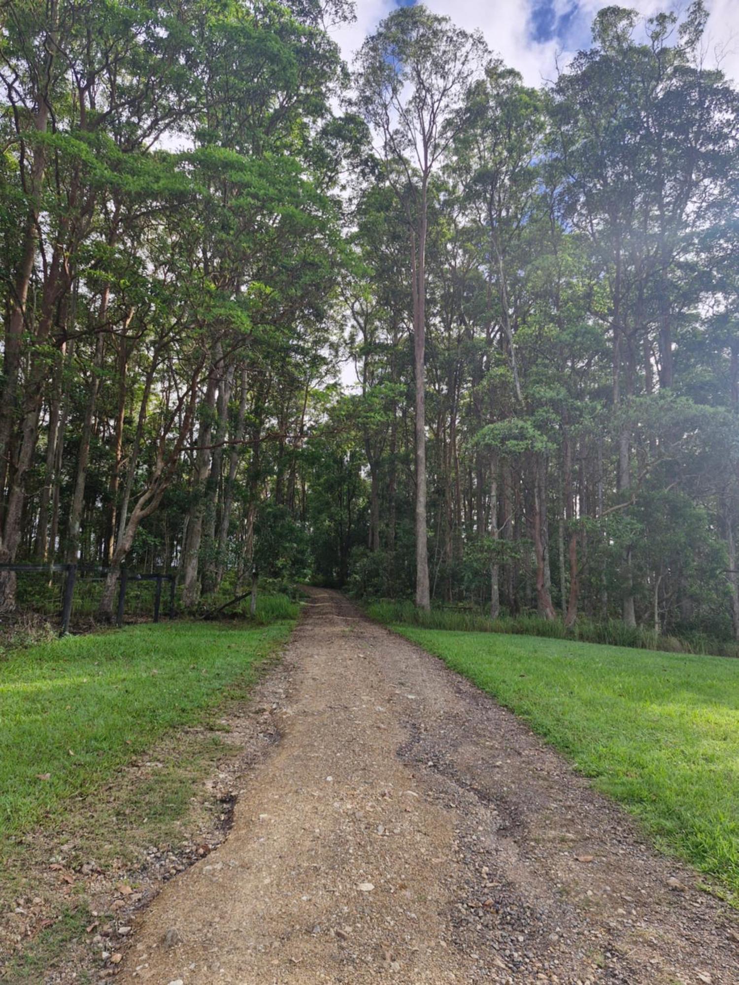 Country Cottage Sunshine Coast Montville Bagian luar foto