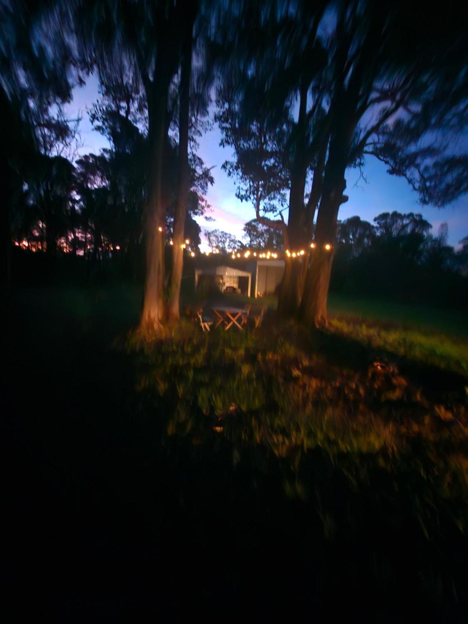 Country Cottage Sunshine Coast Montville Bagian luar foto